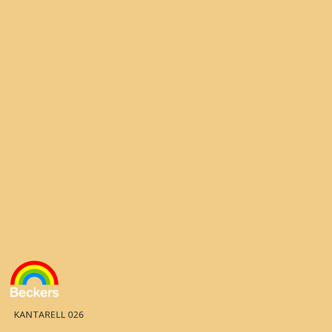 Kantarell 026
