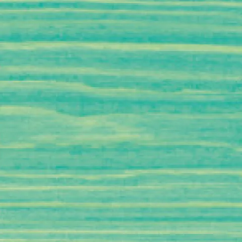 Mint 5154