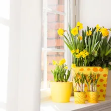 Forårskrukker med effekt