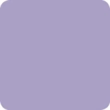 Viol 19